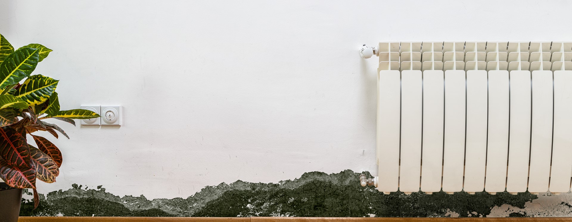 example of bad damp and mould compliance