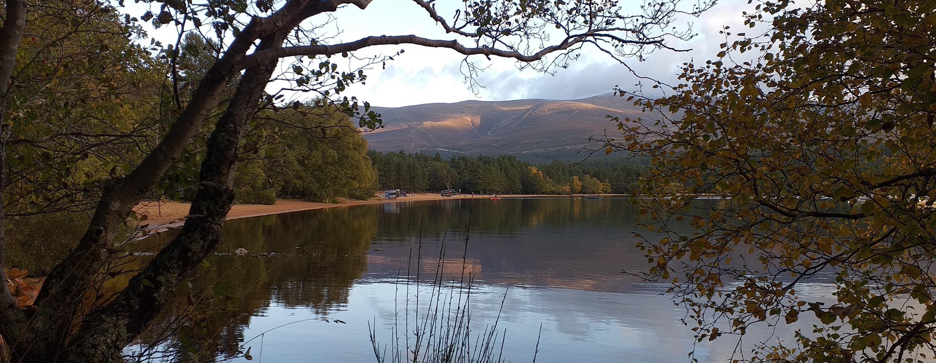 gateways and sensors used in Cairngorns National park