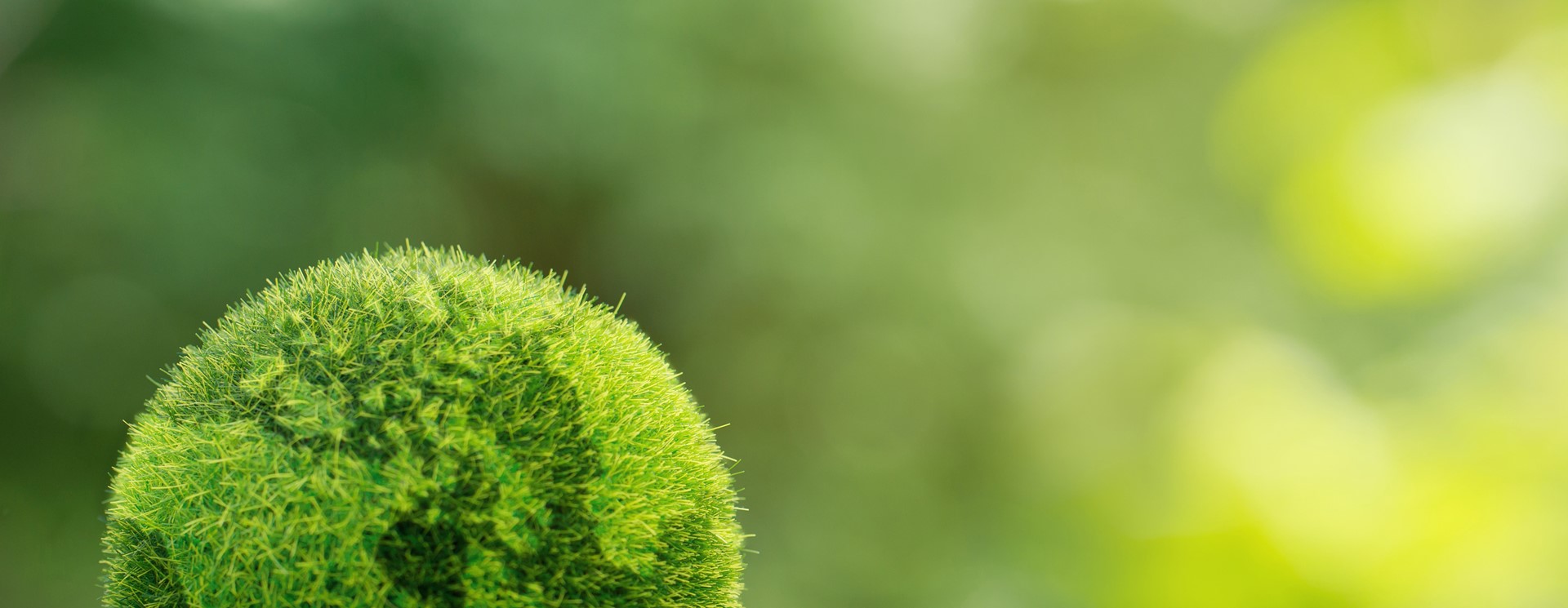 North has been shortlisted as a finalist in the Sustainability Champion and Sustainable Customer Project of the Year category