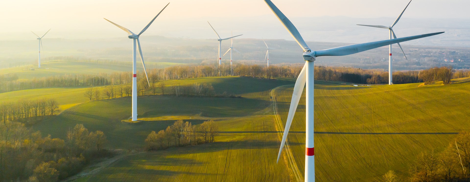 North is proud to stand alongside global efforts to combat climate change and support Net Zero Week.