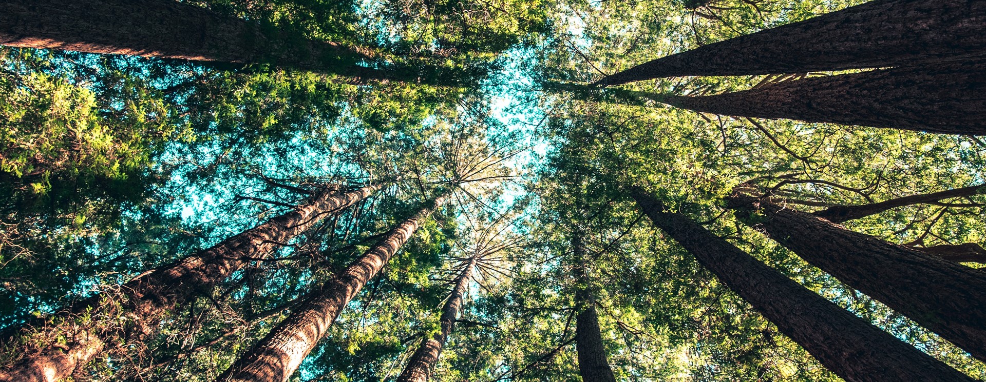 sustainability impact