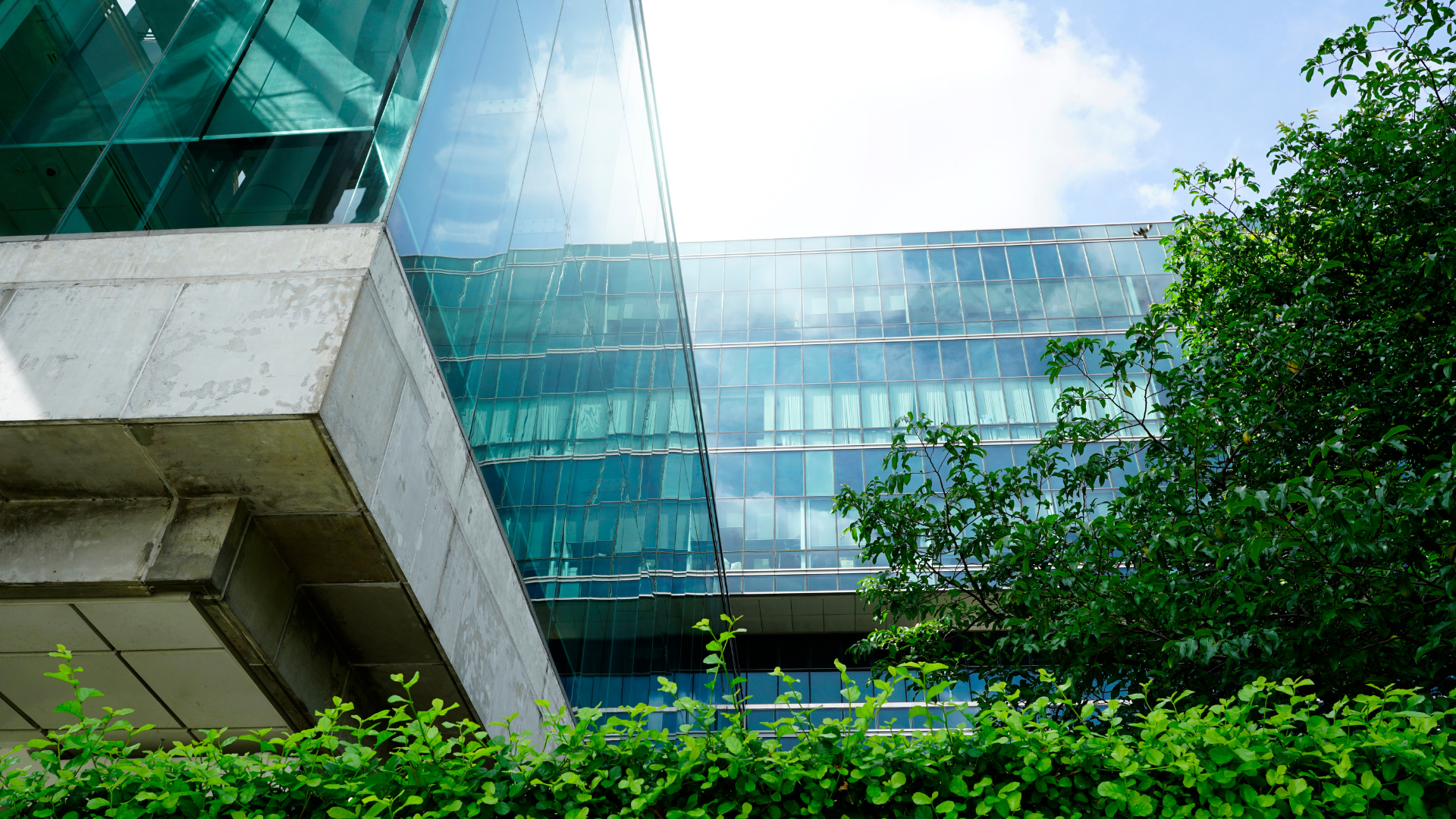 net zero office building