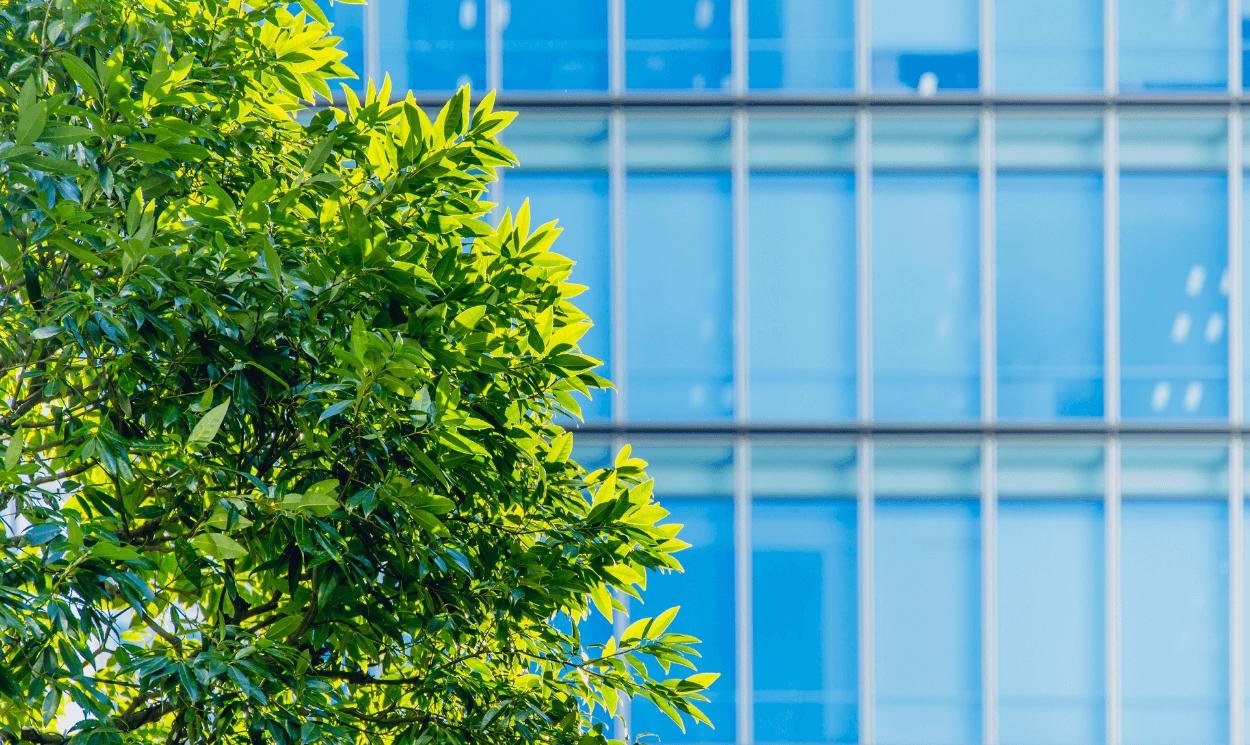 Supply Chain Sustainability School building