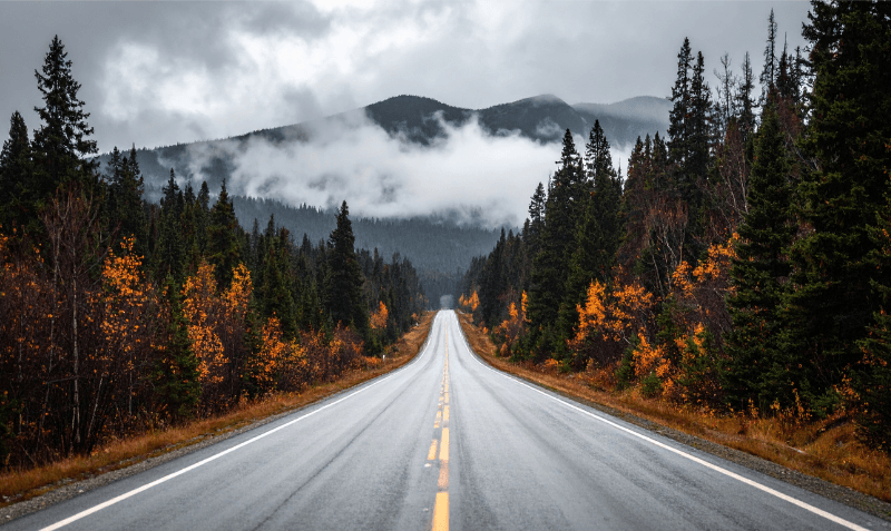 Career Paths & Development